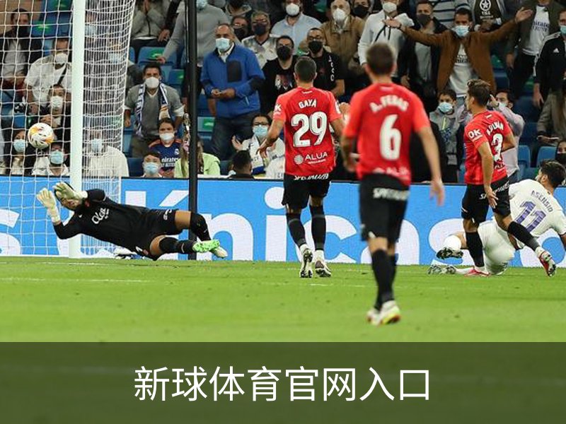 新球体育官网入口简介